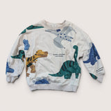 Dino Attitude Wild Energy Sweater. Age 4