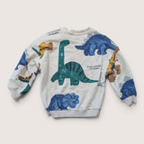 Dino Attitude Wild Energy Sweater. Age 4