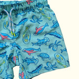 Sealife Swim Shorts. Age 18-24M