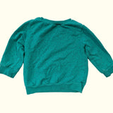 Dino Roar Green Sweater. Age 18M